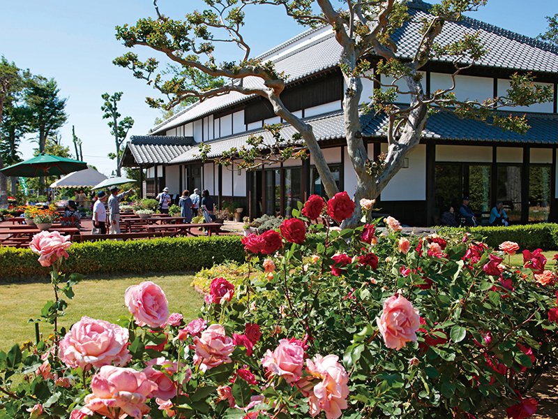 🌸 꽃 마을(카큐노사토)